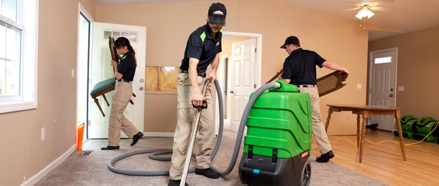 Raytown, MO cleaning services